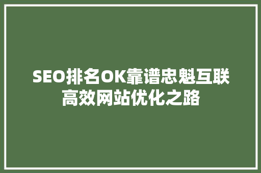 SEO排名OK靠谱忠魁互联高效网站优化之路