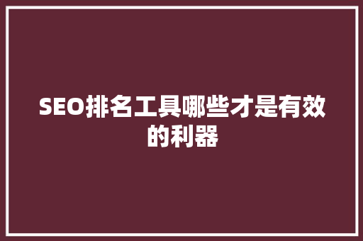 SEO排名工具哪些才是有效的利器