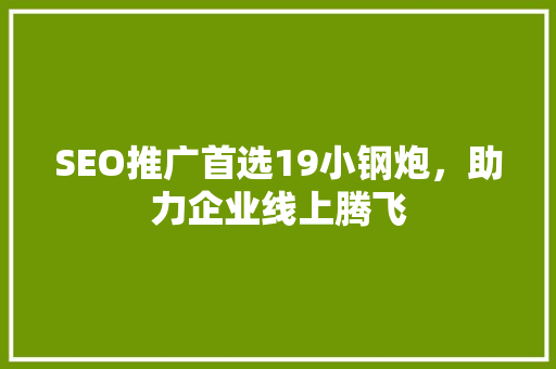 SEO推广首选19小钢炮，助力企业线上腾飞