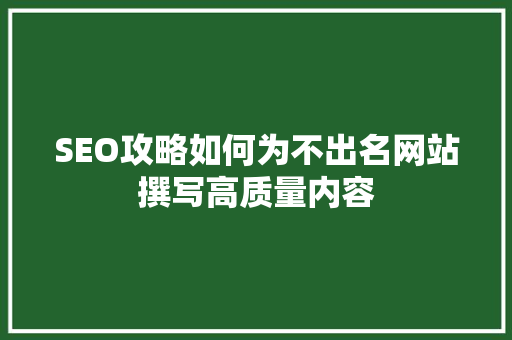 SEO攻略如何为不出名网站撰写高质量内容