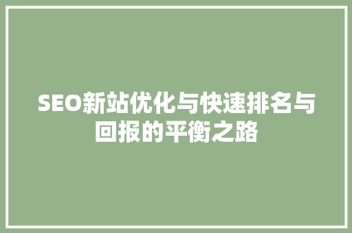 SEO新站优化与快速排名与回报的平衡之路