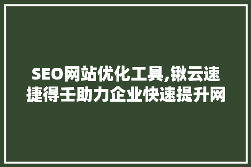 SEO网站优化工具,锹云速捷得壬助力企业快速提升网站排名