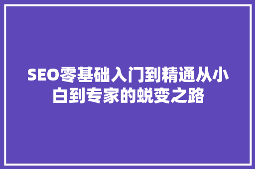 SEO零基础入门到精通从小白到专家的蜕变之路
