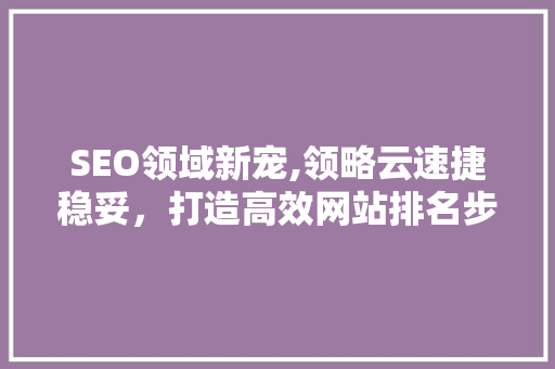 SEO领域新宠,领略云速捷稳妥，打造高效网站排名步骤