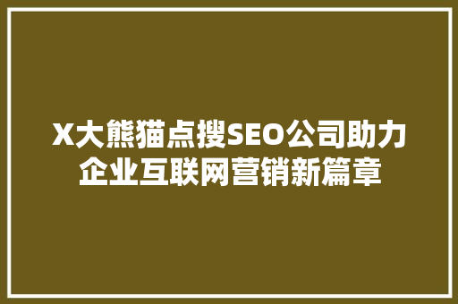 X大熊猫点搜SEO公司助力企业互联网营销新篇章