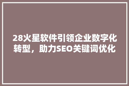 28火星软件引领企业数字化转型，助力SEO关键词优化