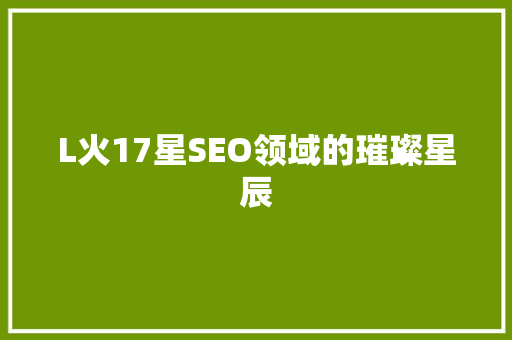 L火17星SEO领域的璀璨星辰