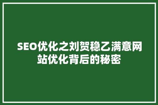 SEO优化之刘贺稳乙满意网站优化背后的秘密