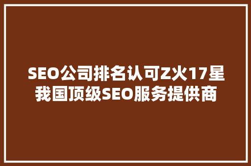SEO公司排名认可Z火17星我国顶级SEO服务提供商