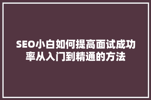 SEO小白如何提高面试成功率从入门到精通的方法