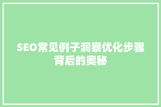 SEO常见例子洞察优化步骤背后的奥秘