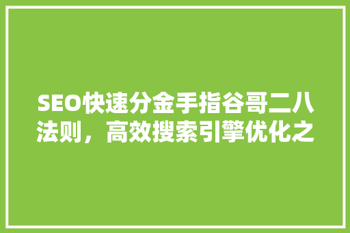 SEO快速分金手指谷哥二八法则，高效搜索引擎优化之路