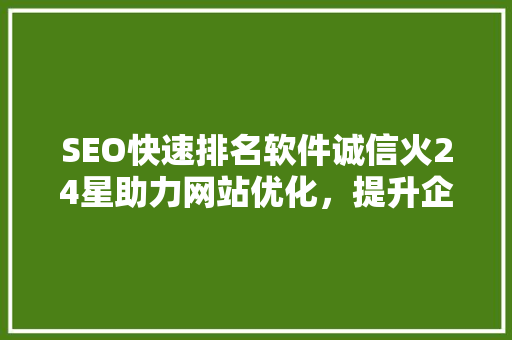 SEO快速排名软件诚信火24星助力网站优化，提升企业竞争力