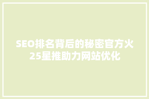 SEO排名背后的秘密官方火25星推助力网站优化