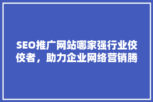 SEO推广网站哪家强行业佼佼者，助力企业网络营销腾飞