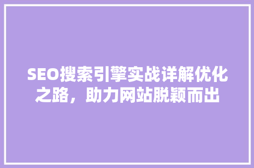 SEO搜索引擎实战详解优化之路，助力网站脱颖而出