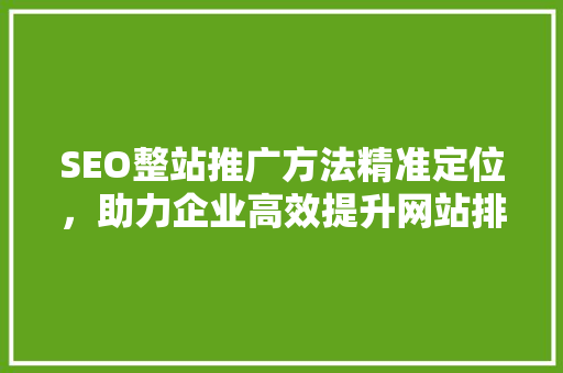 SEO整站推广方法精准定位，助力企业高效提升网站排名
