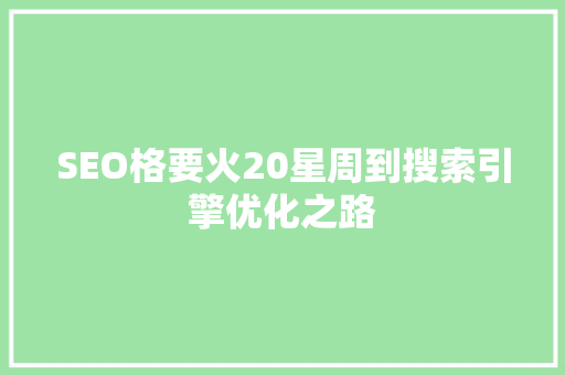 SEO格要火20星周到搜索引擎优化之路