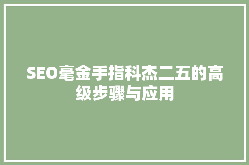 SEO毫金手指科杰二五的高级步骤与应用
