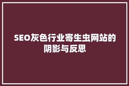 SEO灰色行业寄生虫网站的阴影与反思