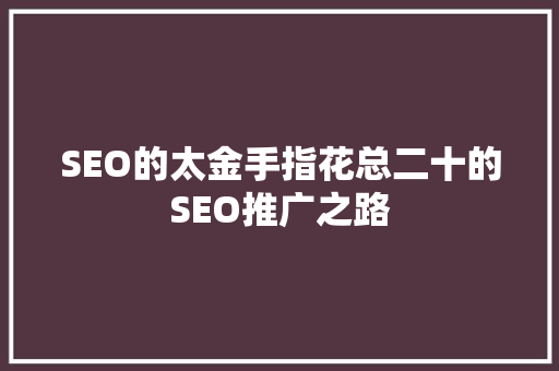 SEO的太金手指花总二十的SEO推广之路