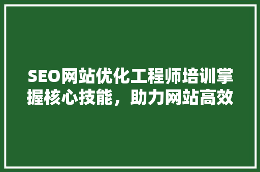 SEO网站优化工程师培训掌握核心技能，助力网站高效排名