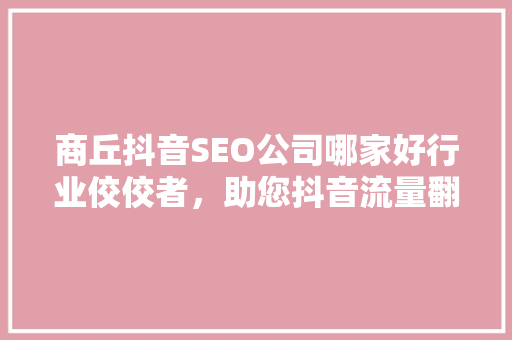 商丘抖音SEO公司哪家好行业佼佼者，助您抖音流量翻倍
