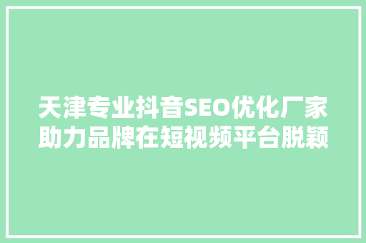 天津专业抖音SEO优化厂家助力品牌在短视频平台脱颖而出