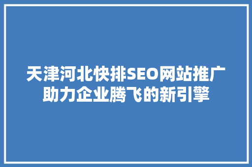 天津河北快排SEO网站推广助力企业腾飞的新引擎