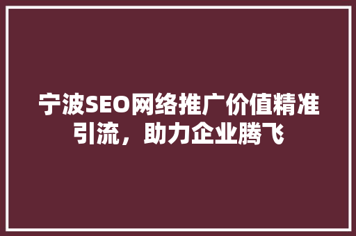 宁波SEO网络推广价值精准引流，助力企业腾飞