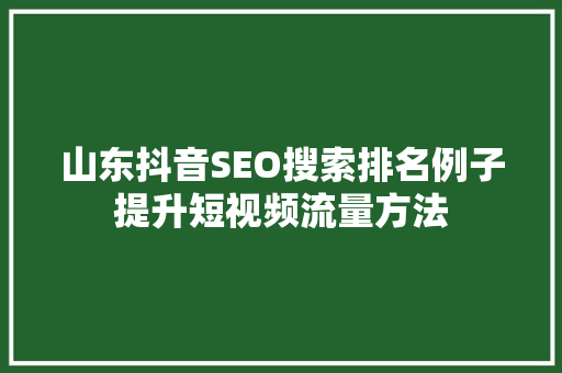 山东抖音SEO搜索排名例子提升短视频流量方法