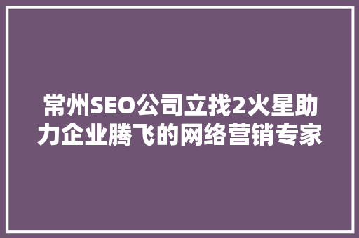 常州SEO公司立找2火星助力企业腾飞的网络营销专家