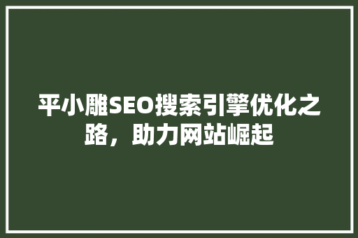 平小雕SEO搜索引擎优化之路，助力网站崛起