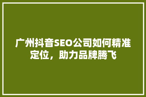 广州抖音SEO公司如何精准定位，助力品牌腾飞