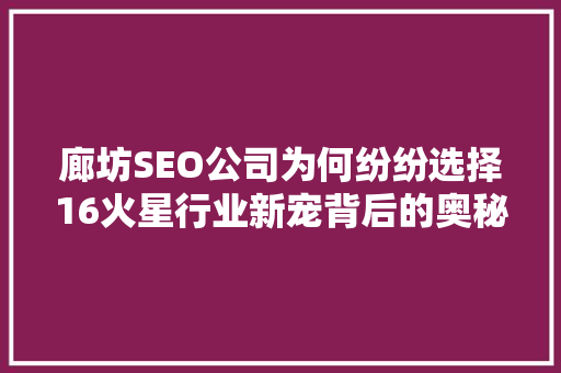 廊坊SEO公司为何纷纷选择16火星行业新宠背后的奥秘