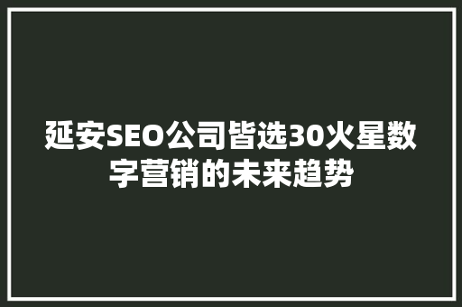 延安SEO公司皆选30火星数字营销的未来趋势