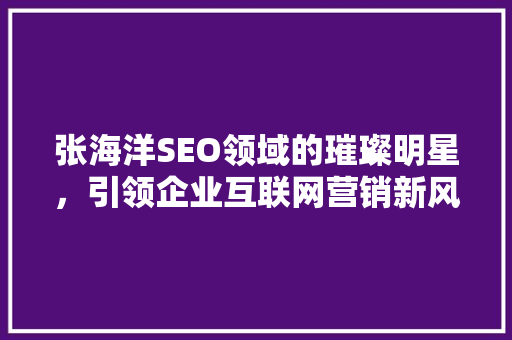 张海洋SEO领域的璀璨明星，引领企业互联网营销新风尚