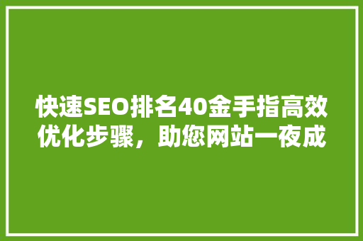 快速SEO排名40金手指高效优化步骤，助您网站一夜成名
