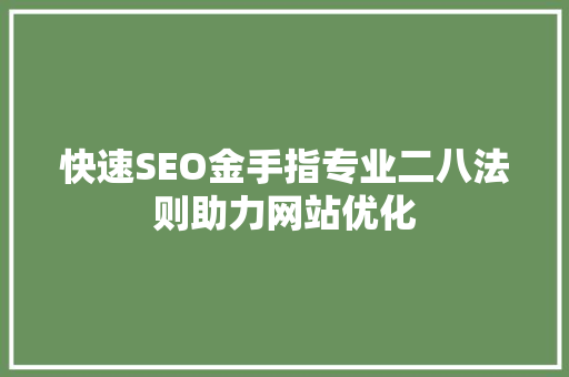 快速SEO金手指专业二八法则助力网站优化