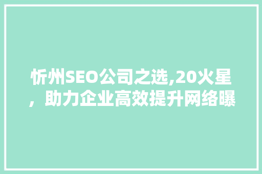 忻州SEO公司之选,20火星，助力企业高效提升网络曝光率
