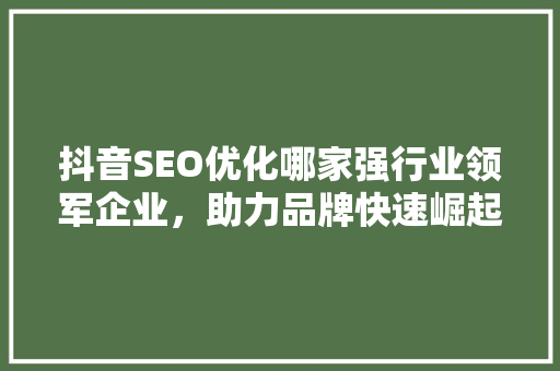 抖音SEO优化哪家强行业领军企业，助力品牌快速崛起