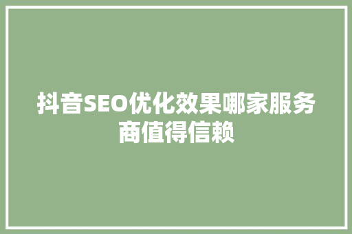 抖音SEO优化效果哪家服务商值得信赖