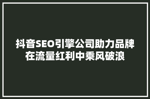 抖音SEO引擎公司助力品牌在流量红利中乘风破浪