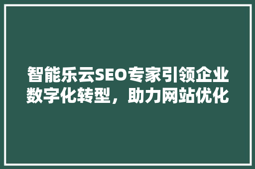智能乐云SEO专家引领企业数字化转型，助力网站优化与排名提升