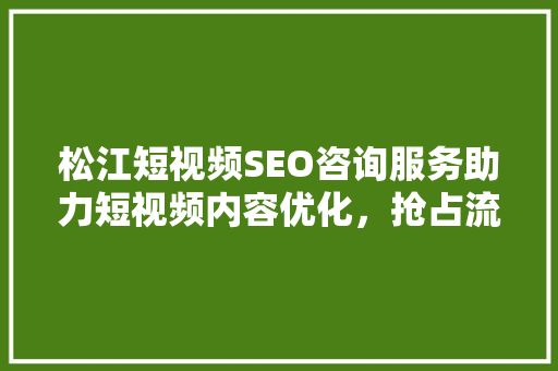 松江短视频SEO咨询服务助力短视频内容优化，抢占流量高地