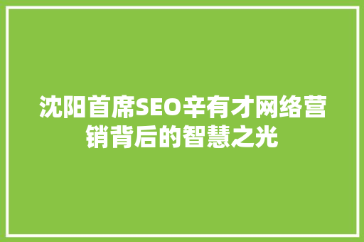 沈阳首席SEO辛有才网络营销背后的智慧之光