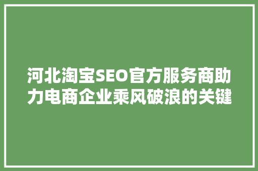 河北淘宝SEO官方服务商助力电商企业乘风破浪的关键一招