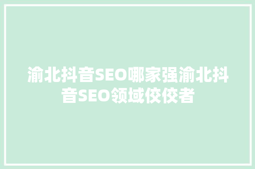 渝北抖音SEO哪家强渝北抖音SEO领域佼佼者