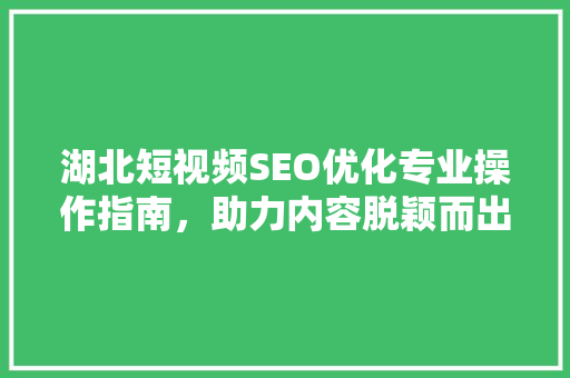 湖北短视频SEO优化专业操作指南，助力内容脱颖而出