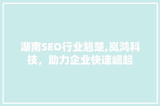 湖南SEO行业翘楚,岚鸿科技，助力企业快速崛起